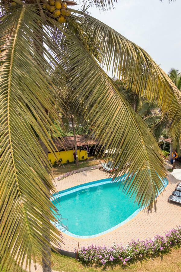 Dona Julia Beach Resort Calangute Εξωτερικό φωτογραφία